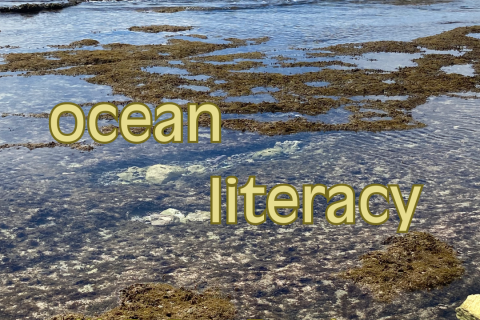 Photo of the shore of Mushroom Bay, in Nusa Lembongan, Indonesia, on a sunny day. It shows rocks, seaweed and waves rolling in, with the words "ocean literacy with Dr Prue Francis" layered over the top. 