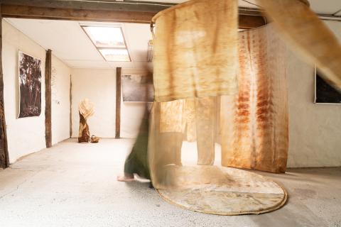 David White Photography of Rowiina Howard's exhibition 'Gentle Enchantment'