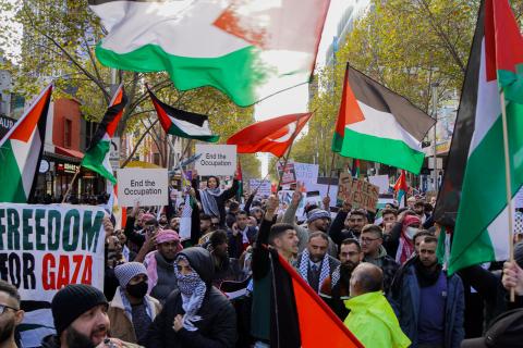 Free Palestine rally. Image: APAN