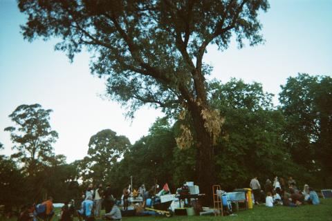 A film photograph of Camp Sovereignty, featuring several groups of people sitting and standing around a massive tall gum tree on a grassy lawn surrounded by an assortment of tables, a wheelbarrow, and boxes. A Palestinian flag is visible. More trees are visible in the background.