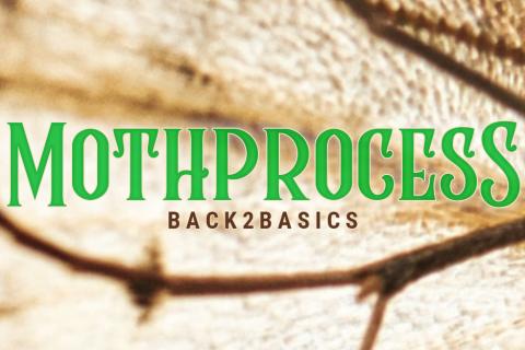 A graphic composed of a close-up photo of a tan-coloured moth's wing overlaid with the word 'Mothprocess' in large green letters and 'Back2Basics' in smaller brown letters.