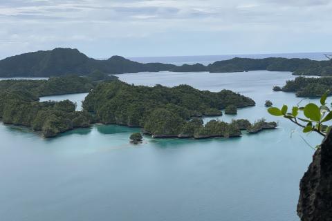A photograph looking down on a cluster of small islands covered with dense vegetation.