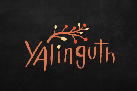The Yalinguth logo. The word 'Yalinguth' is written in orange on a black background, below an orange-coloured branch bearing yellow leaves and bright orange fruit.