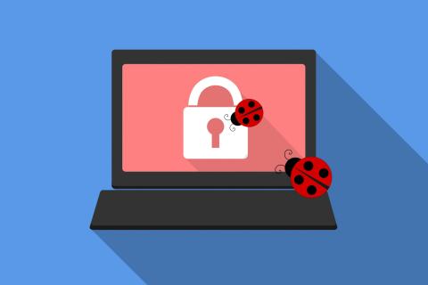 An digital illustration of a laptop computer showing a pink padlock on its screen, floating against a blue background. Red and black Ladybugs crawl over the screen.