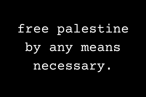 Free Palestine by any means necessary.