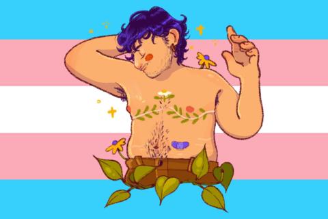 An image composed of a transgender flag background with a drawing of a pleased looking shirtless transmasculine person surrounded by leaves with visible top surgery scars.