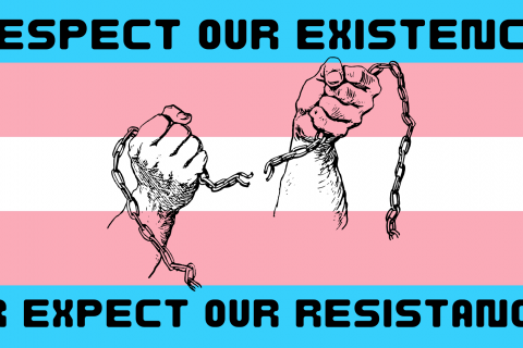 A digital graphic with the transgender flag as a background, with black text at the top and bottom reading "respect our existence" and "or expect our resistance" respectively. In the centre of the graphic is a black outline drawing of two hands breaking a chain.