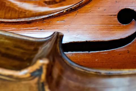 A close up image of two cellos laying side by side