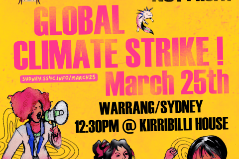 School Strike 4 Climate 2022 in Sydney