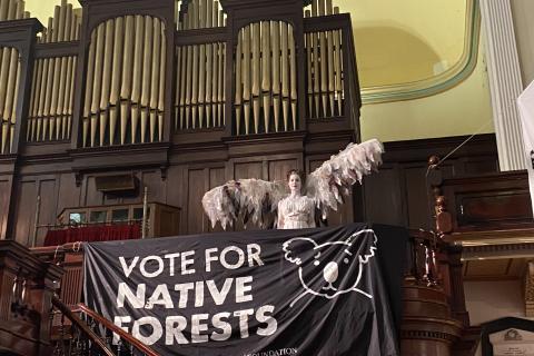 Forest Guardian Angel at Pitt St Church at Bob Brown Rally . Photo Philipa Veitch