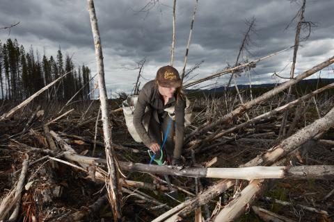 Tree Planter - Cleo Carpenter by Film Maker Rita Leistner