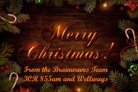 merry christmas from brainwaves