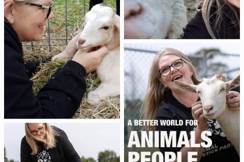 Photos of Bronwyn Currie with rescue animals including sheep and goats