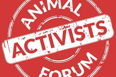 Animal Activists Forum