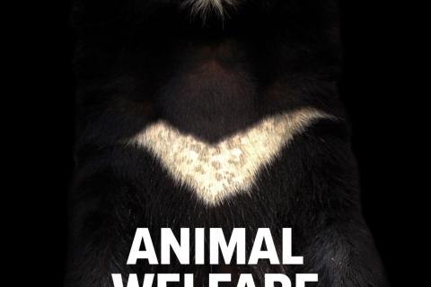 A moon bear staring out at you on a black background, text - Animal Welfare in China by Peter J. Li