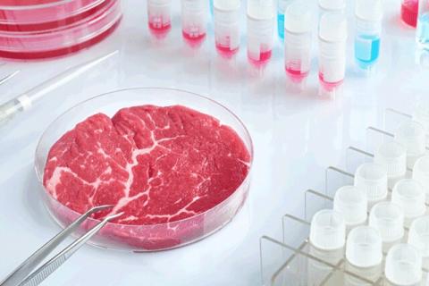 Image of cultured meat from Reeko Science on flickr.com