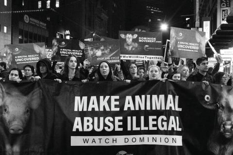 Photo of the Dominion Animal Rights March.