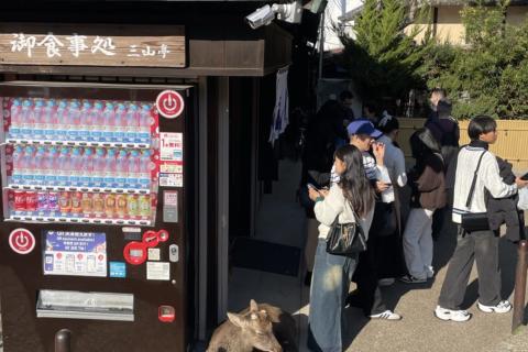 A photo of a deer at Nara Park in Japan lying down next to a vending machine.