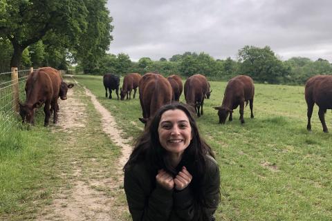 Photo of our guest Jax with some cows