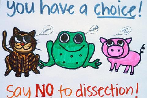 You have a choice! Say NO to dissection!
