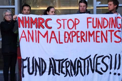 Stop Animal Experimentation