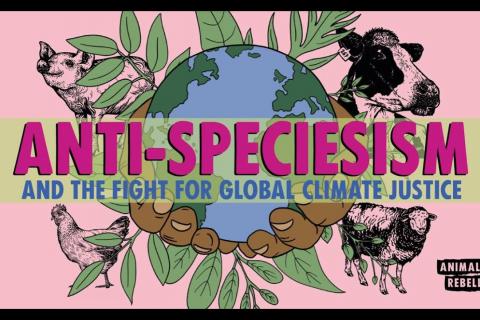 Anti-speciesism talk from Animal Rebellion