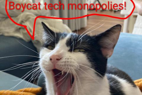 Angry cat with a speech bubble reading: ‘Boycat tech monopolies!’