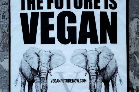 Poster with two elephants and the words the future is vegan