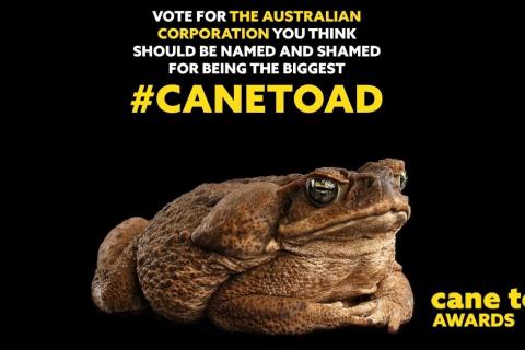 Cane Toad Awards