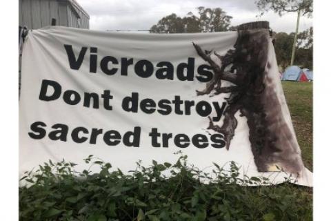 Banner: Vicroads Don't destroy sacred trees