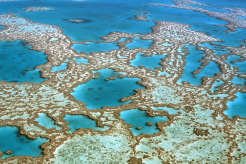 Aerial image of reef
