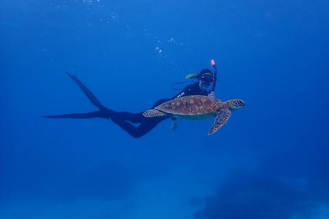 Diver underwater with turtle
