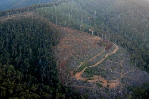 Ariel of Big River coup, East Gippsland. Photo: https://flic.kr/p/e2yNQc