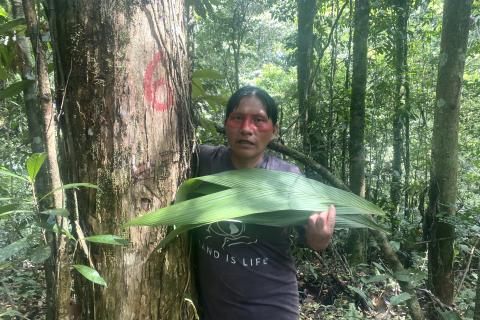 Waorani leader  Alicia Cahuiya standing next to a tree near her community marked to be cut down by Petroecuador (the company now banned from drilling in Yasuní National Park).