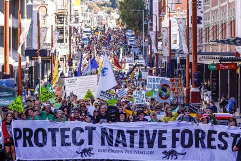 A group of protestors from the Bob Brown Foundation rally to protect native forests