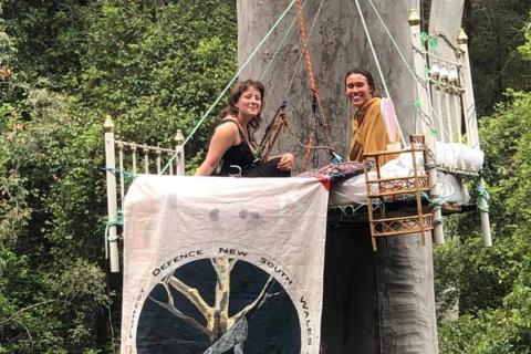 2 women sit in an iconic vintage style cast iron bed painted white with brass knobs on a luxurious mattress with a white sheet. The two women are young, fresh faced and smiling. The bed has been raised up with ropes high above the ground up a huge old blue gum too create an unusual and striking looking tree sit high in the forest canopy. A banner is draped of the bed that saya Forest Defence NSW and FDN, and also depicts a picture of a more classic looking tree-sit with the words Defend Native Forests 