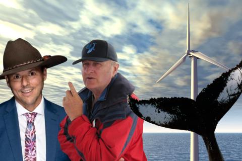 A whale fluke and an offshore wind turbine with the guests on the show