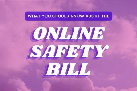'What you need to know about the Online Safety Bill.' Credit Digital Rights Watch