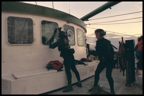 French commandos stormed and disable the Greenpeace RAINBOW WARRIOR, Moruroa atoll, South Pacific. 01 September, 1995,  