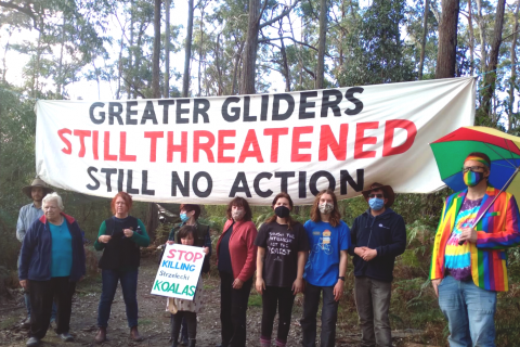 eight activists stand in front of a forest copse at the Alberton West Forest blockade holding a banner that says ‘greater gliders still threatened—still no action’. A small child stands in front of them holding a sign that says ‘stop killing Strzelecki koalas’. A tall middle aged man wearing rainbow coloured clothes and holding an open rainbow striped umbrella stands to the side looking fabulous.