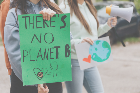 Image of a young person holding a green protect placard that reads 'There's no Planet B'