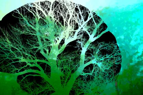 Abstract ‘arty’ image. A black stencil of a large brain is superimposed on a psychedelic forest scene in various shades of green. The gaps in the black stencil brain are the blood capillaries that look like the outline of a tree through which the greens of forest scene can be seen, and thus the two images are blended together to become one.