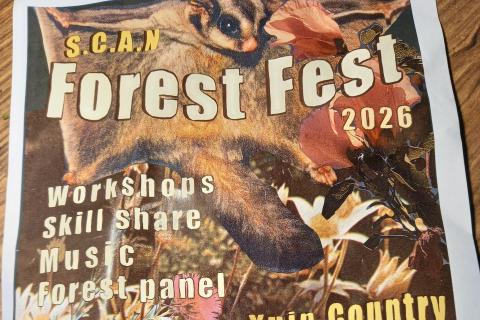 Forest Festival Poster by South Coast Action Network