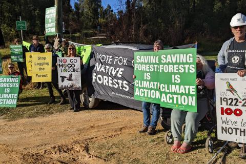 People holding Stop Native Forest Logging banners by a road.