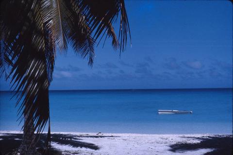 Mururoa - Image of a beach with palm tree on left and boat on water in background