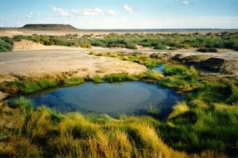 Sacred Arabunna Mound Springs under threat of extinction due to BHP's Olympic Dam uranium mine.