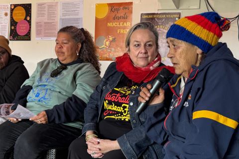 Irene, Karina, Dimity and Sue speaking on the Nuclear Weapons and Survivors session at the Australian Nuclear Free Alliance meeting.  Photo by Cath Keaney.