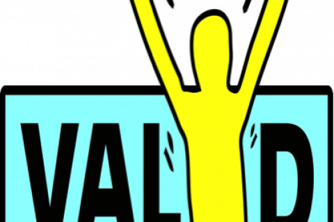 VALID Logo
