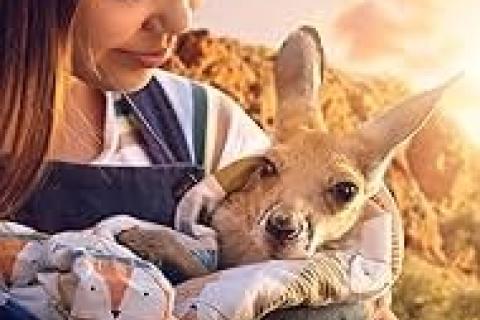 Kangaroo