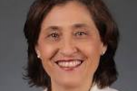  Energy and Climate Change Minister Lily D'Ambrosio